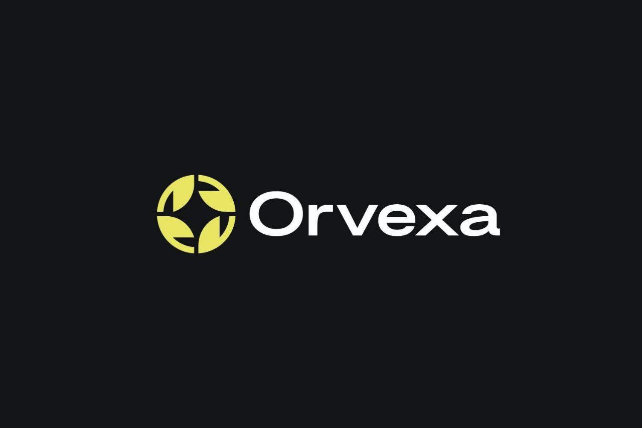 Orvexa Logo Design